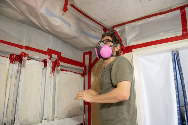 Best Industrial Mold Remediation  in Prairie View, TX